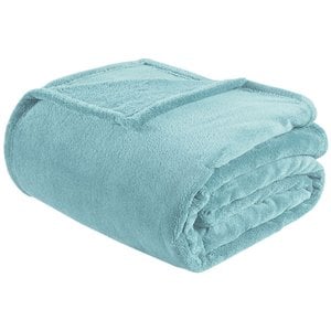 Intelligent Design Polyester Solid Microlight Plush Oversized Blanket in Aqua