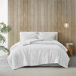 True North by Sleep Philosophy Laurie Jacquard Velour Comforter Set in Ivory