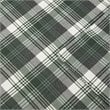 Woolrich Farmhouse 100 Percent Cotton Flannel Queen Sheet Set in Green Plaid