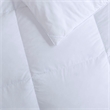 True North by Sleep Philosophy 108x96