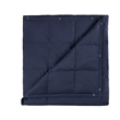 True North by Sleep Philosophy Hadly Goose Feather Down Wearable Throw in Blue