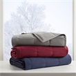 True North by Sleep Philosophy Hadly Goose Feather Down Wearable Throw in Red