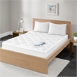 Madison Park Quiet Nights 300 Thread Count Cotton Sateen Waterproof Mattress Pad