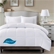 True North by Sleep Philosophy All season Stain Release 3M Scotchgard Comforter