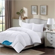 True North by Sleep Philosophy All season Stain Release 3M Scotchgard Comforter