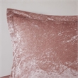 Intelligent Design Felicia Velvet Comforter Set in Blush