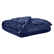 Madison Park Coleman HeiQ Smart Temperature Down Alternative Blanket - Navy