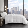 Sleep Philosophy Year Round Warmth Cotton Down Alternative Comforter - White