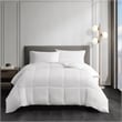 Sleep Philosophy Year Round Warmth Cotton Down Alternative Comforter in White