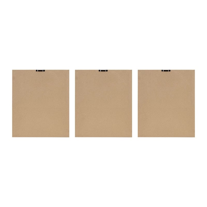 Madison Park Fair Florets Printed Framed Graphic 3 Piece Set in Beige