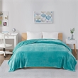 Intelligent Design Microlight Plush Oversized Blanket in Aqua King