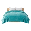 Intelligent Design Microlight Plush Oversized Blanket in Aqua King