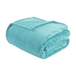 Intelligent Design Microlight Plush Oversized Blanket in Aqua King