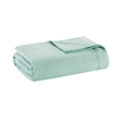 Madison Park Egyptian Cotton Blanket in Seafoam Twin