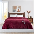 Beautyrest Heated Microlight to Berber Blanket in Red King