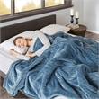 Beautyrest Heated Microlight to Berber Blanket in Blue King