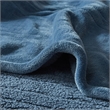 Beautyrest Heated Microlight to Berber Blanket in Blue King