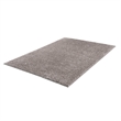 Madison Park Camdyn Super Soft Polyester Shag Area Rug in Grey 4x6'