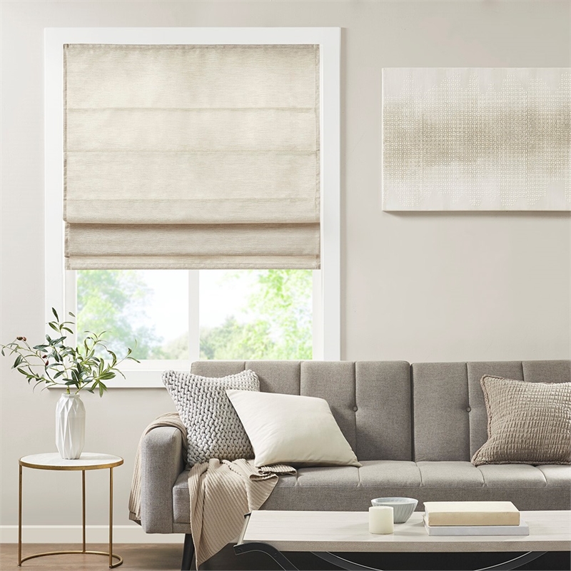 Madison Park Como Printed Faux Silk Room Cordless Roman Shade in Ivory 31x64