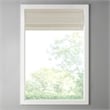 Madison Park Como Printed Faux Silk Room Cordless Roman Shade in Ivory 31x64