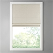 Madison Park Como Printed Faux Silk Room Cordless Roman Shade in Ivory 33x64