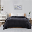 Intelligent Design Fabric Microlight Plush Oversized Blanket in Black