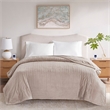 Beautyrest Contemporary Plush Fabric Queen Heated Blanket with WIFI in Taupe