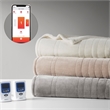 Beautyrest Contemporary Plush Fabric King Heated Blanket with WIFI in Ivory