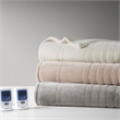 Beautyrest Contemporary Plush Fabric Queen Heated Blanket with WIFI in Ivory