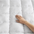 Olliix Intelligent Design Dream Puff Queen Mattress Pad Polyester in White
