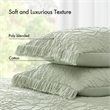 Olliix Madison Park Willow Queen Bedspread Set Cotton in Sage