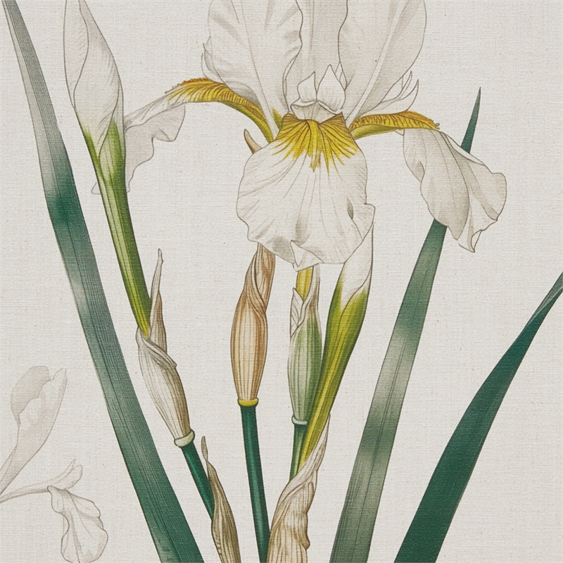 Olliix Madison Park Herbal Botany Set of 4 Wall Art Set in Green