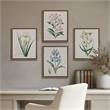 Olliix Madison Park Herbal Botany Set of 4 Wall Art Set in Green
