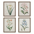 Olliix Madison Park Herbal Botany Set of 4 Wall Art Set in Green