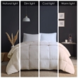 Olliix True North by Sleep Philosophy Heavy Warmth Full/Queen Comforter in Cream
