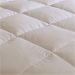 Olliix True North by Sleep Philosophy Warmth King/Cal King Comforter in Cream