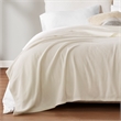 Olliix True North by Sleep Philosophy Microfleece Full/Queen Blanket in Taupe