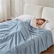 Olliix True North by Sleep Philosophy Microfleece Full/Queen Blanket in Blue
