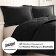 Olliix Madison Park Larkspur Twin/Twin XL Comforter Mini Set in Black/Black