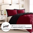Olliix Madison Park Larkspur Twin/Twin XL Comforter Mini Set in Red/Black