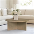 Olliix Martha Stewart Sadie Coffee Table MDF/Wood in Reclaimed Greige