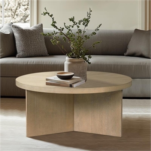 Olliix Martha Stewart Sadie Coffee Table MDF/Wood in Reclaimed Greige