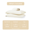 Olliix Main Street Ice Touch Queen Sheet Set Nylon/Spandex in Ivory