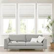 Olliix Madison Park Kyler 35x64