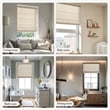 Olliix Madison Park Galen Matte 31x64