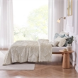 Olliix Intelligent Design Felicia Full/Queen Duvet Cover Set in Champagne