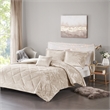 Olliix Intelligent Design Felicia King/Cal King Duvet Cover Set in Champagne