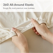 Olliix Intelligent Design Blend Jersey Knit Full Sheet Set in Cream