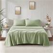 Olliix True North by Sleep Philosophy Micro Fleece Twin Sheet Set in Green