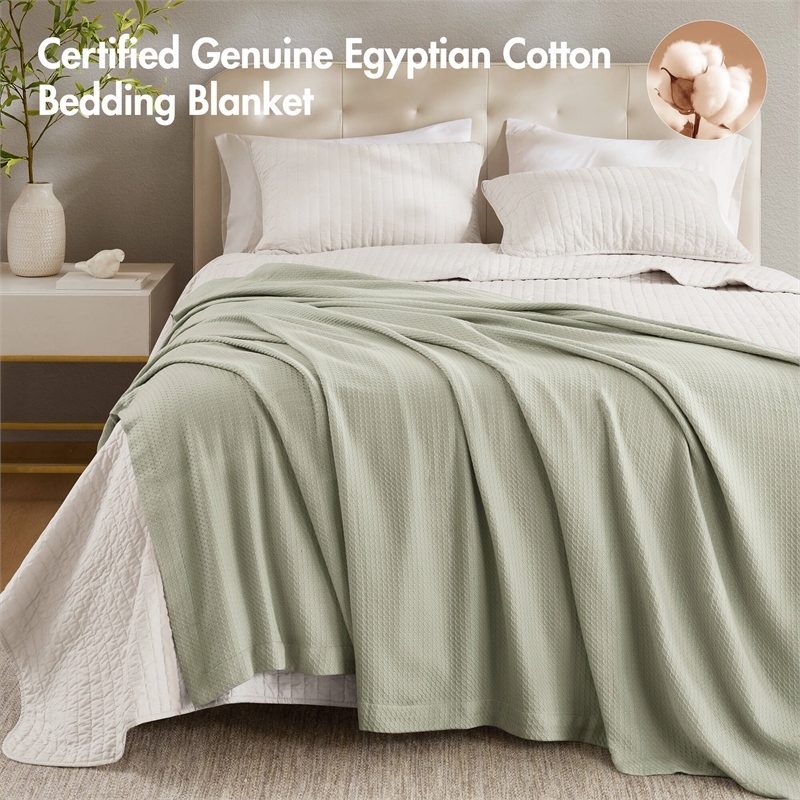 Olliix Madison Park Egyptian Cotton Twin Blanket Cotton in Sage Green